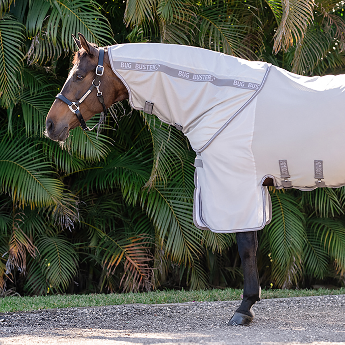 Amigo Bug Buster Hood | Börjes Hästsport