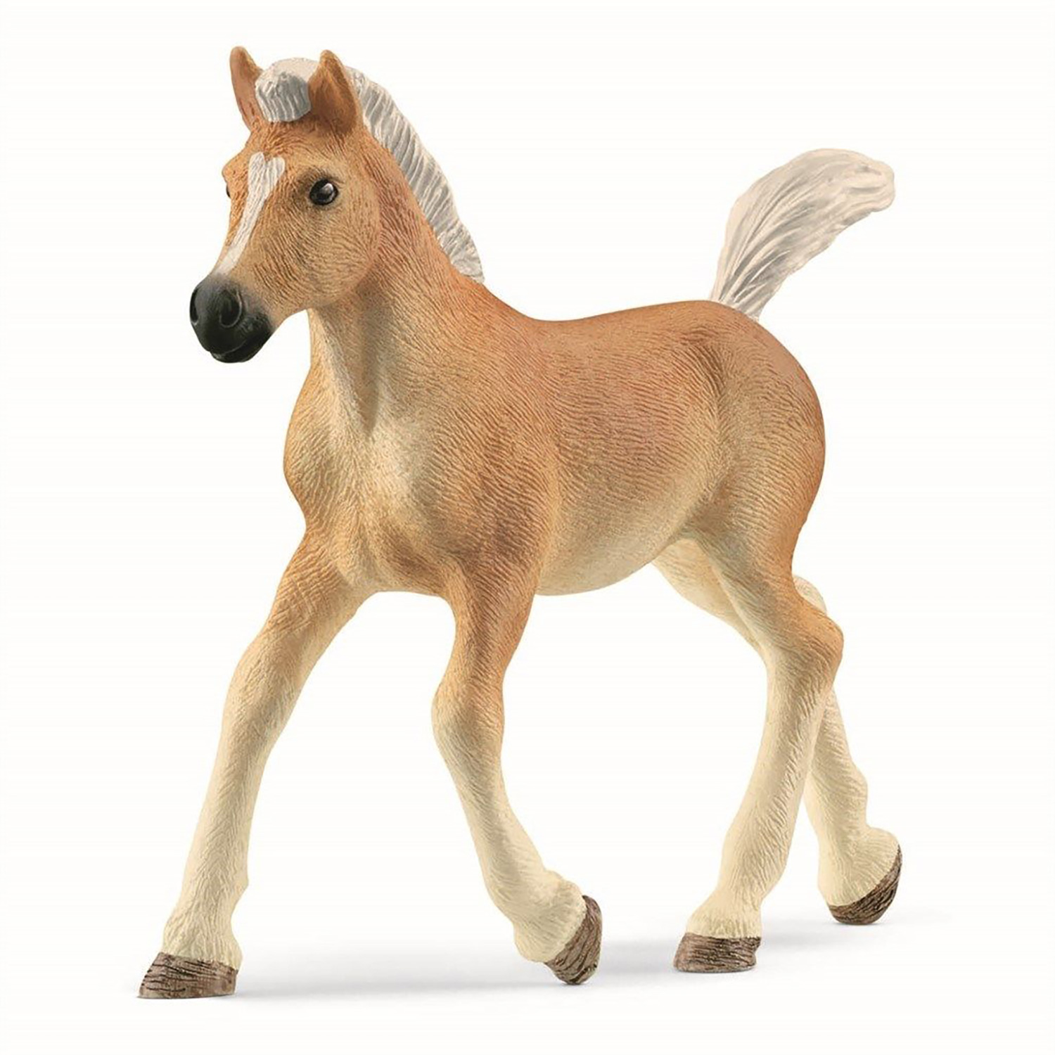 Haflinger føll