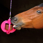 BIZZY BALL AQUAMARIN