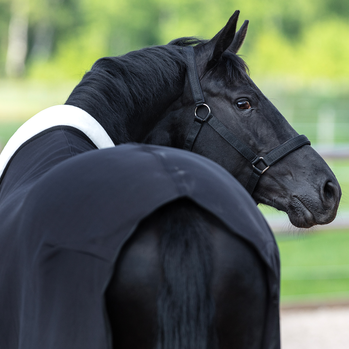 Fleecetäcke Jersey de luxe