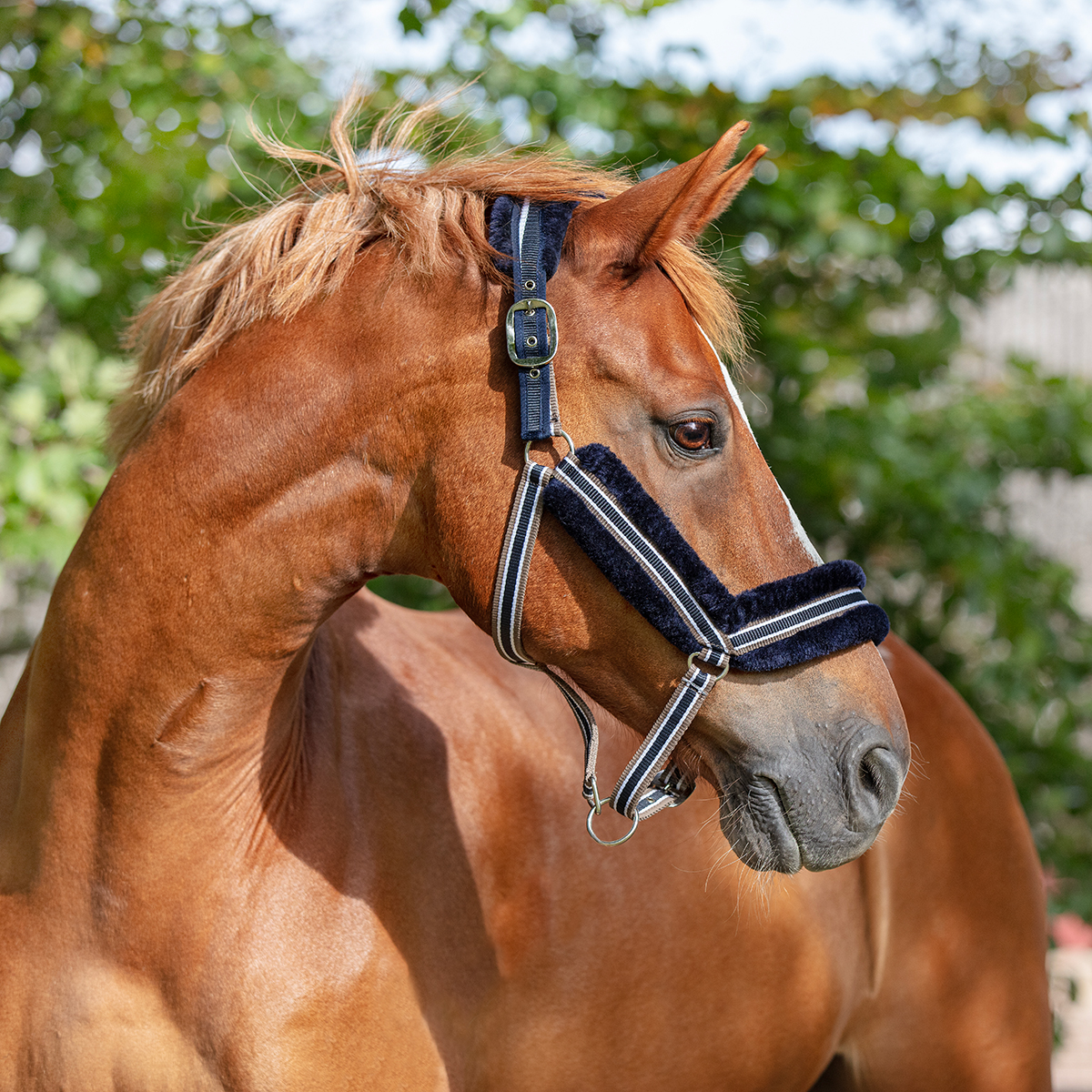 Grimma Nolan pälsfodrad