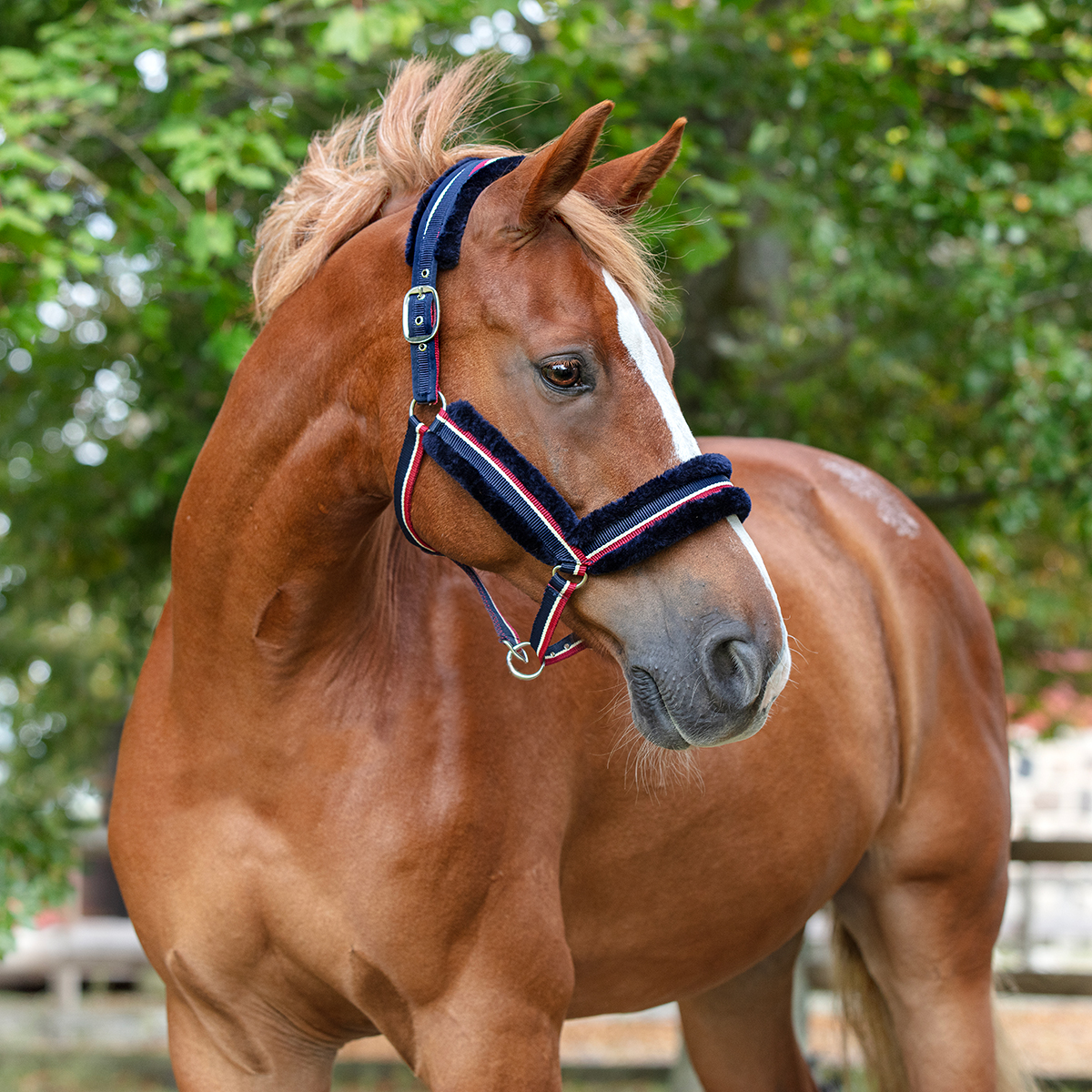 Grimma Nolan pälsfodrad
