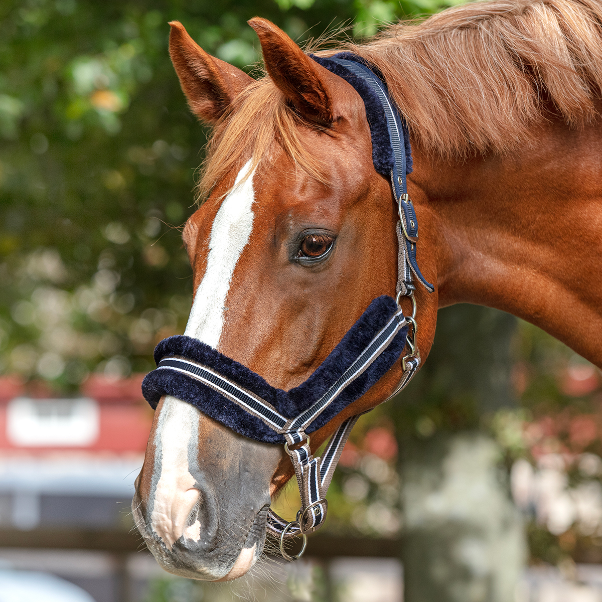 Grimma Nolan pälsfodrad