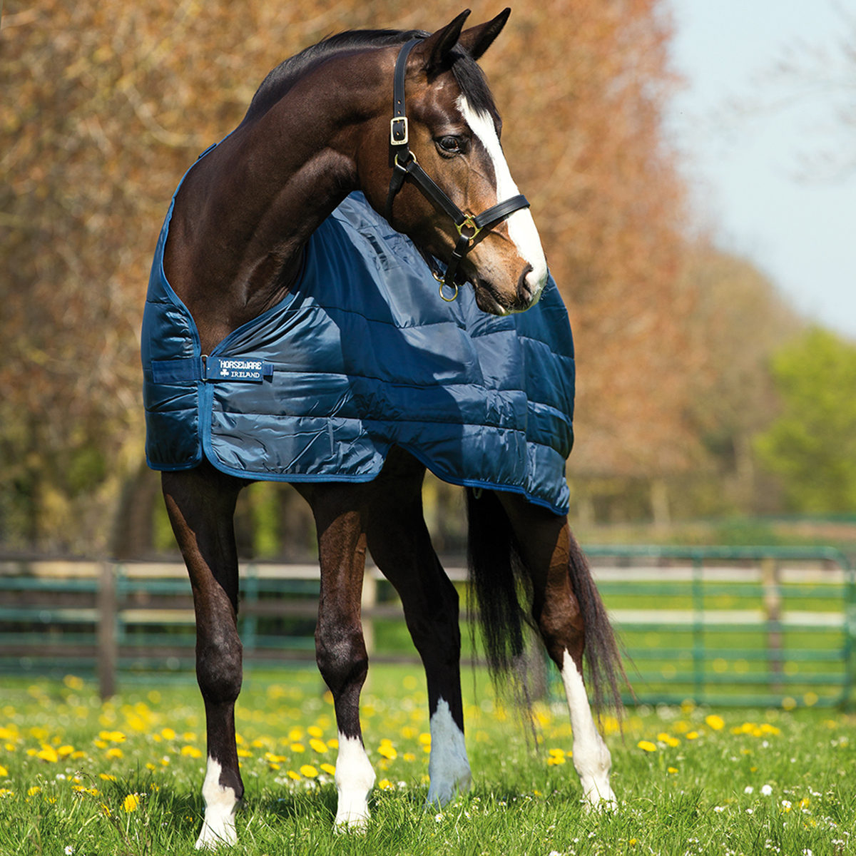 Horseware Liner 100 g