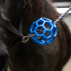Grimskafts boll Guard