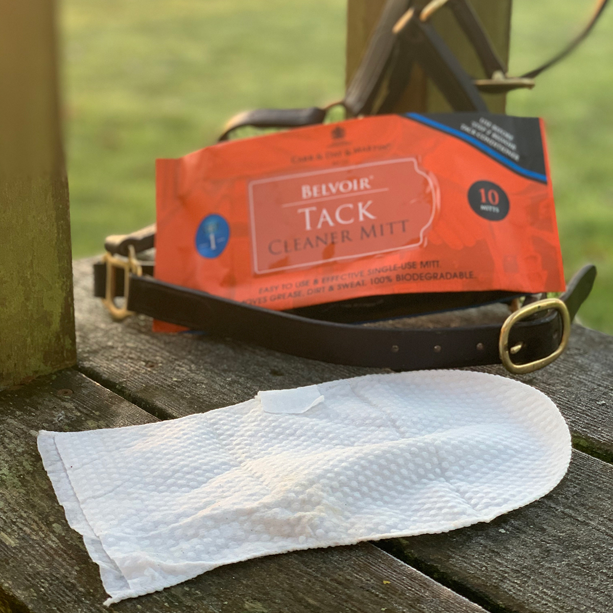 Putsvantar Tack Belivoir 10-pack