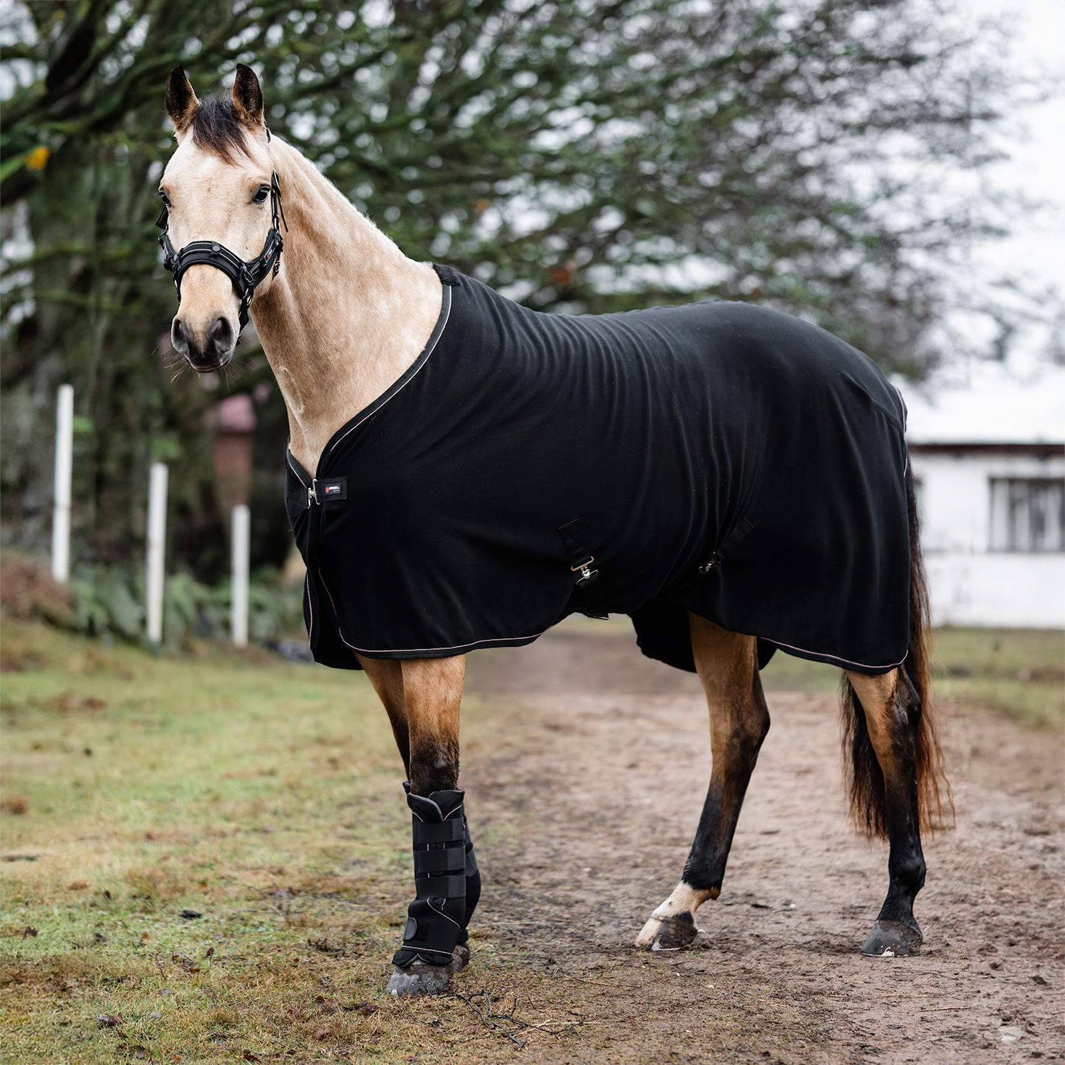Stallboots Therapy Infra