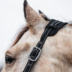 Grimma Therapy Infra