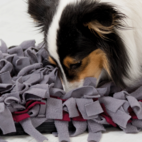 Aktiveringsfilt Sniffing Carpet Nivå 1