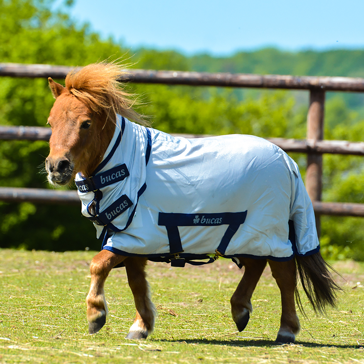 Fluedekken Freedom Fly ponni Bucas