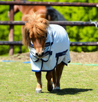 Fluedekken Freedom Fly ponni Bucas