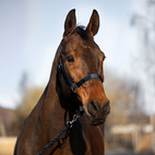 Grimma set om 3st.