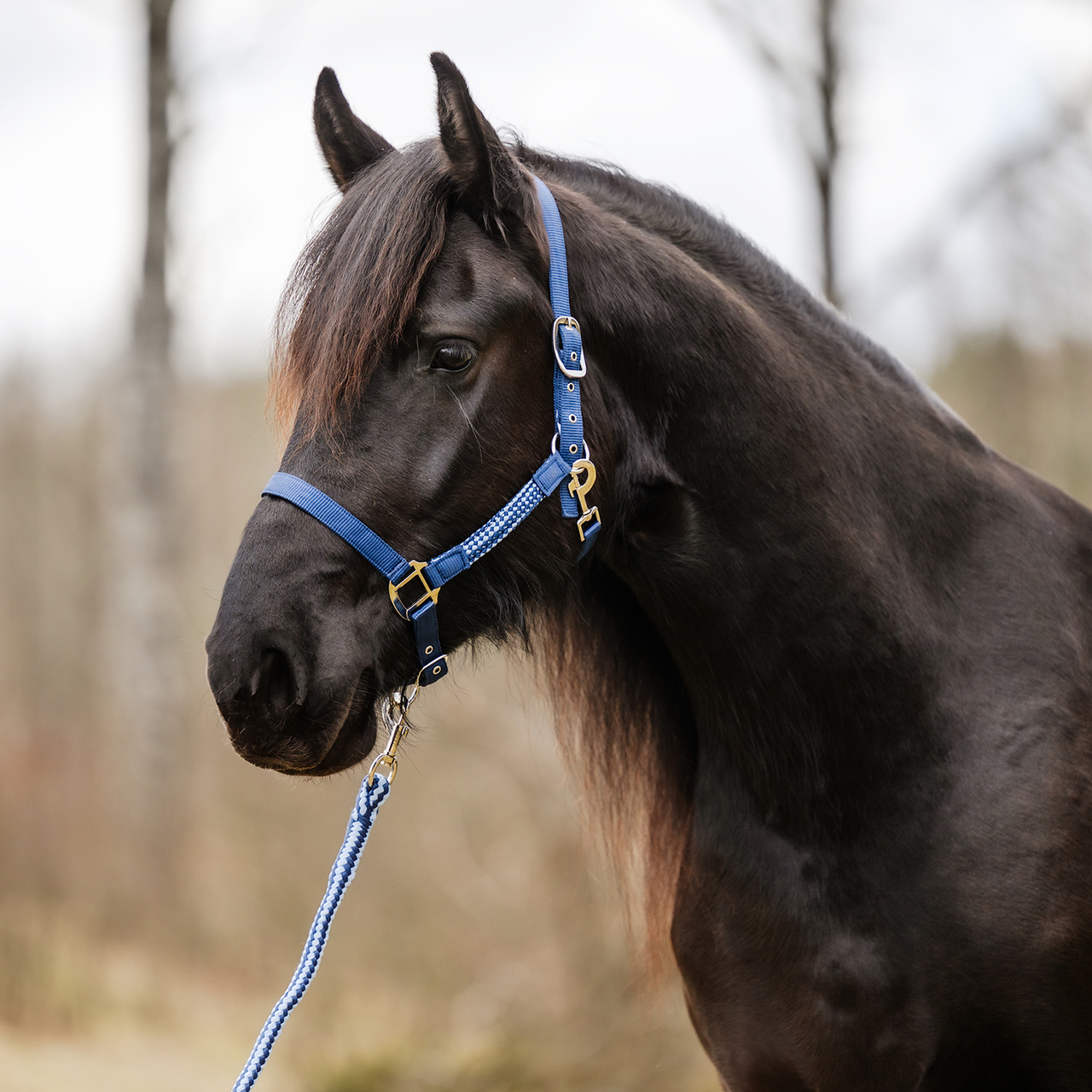 Grimma & grimskaft Basel