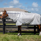Amigo Bug Rug XL Plus