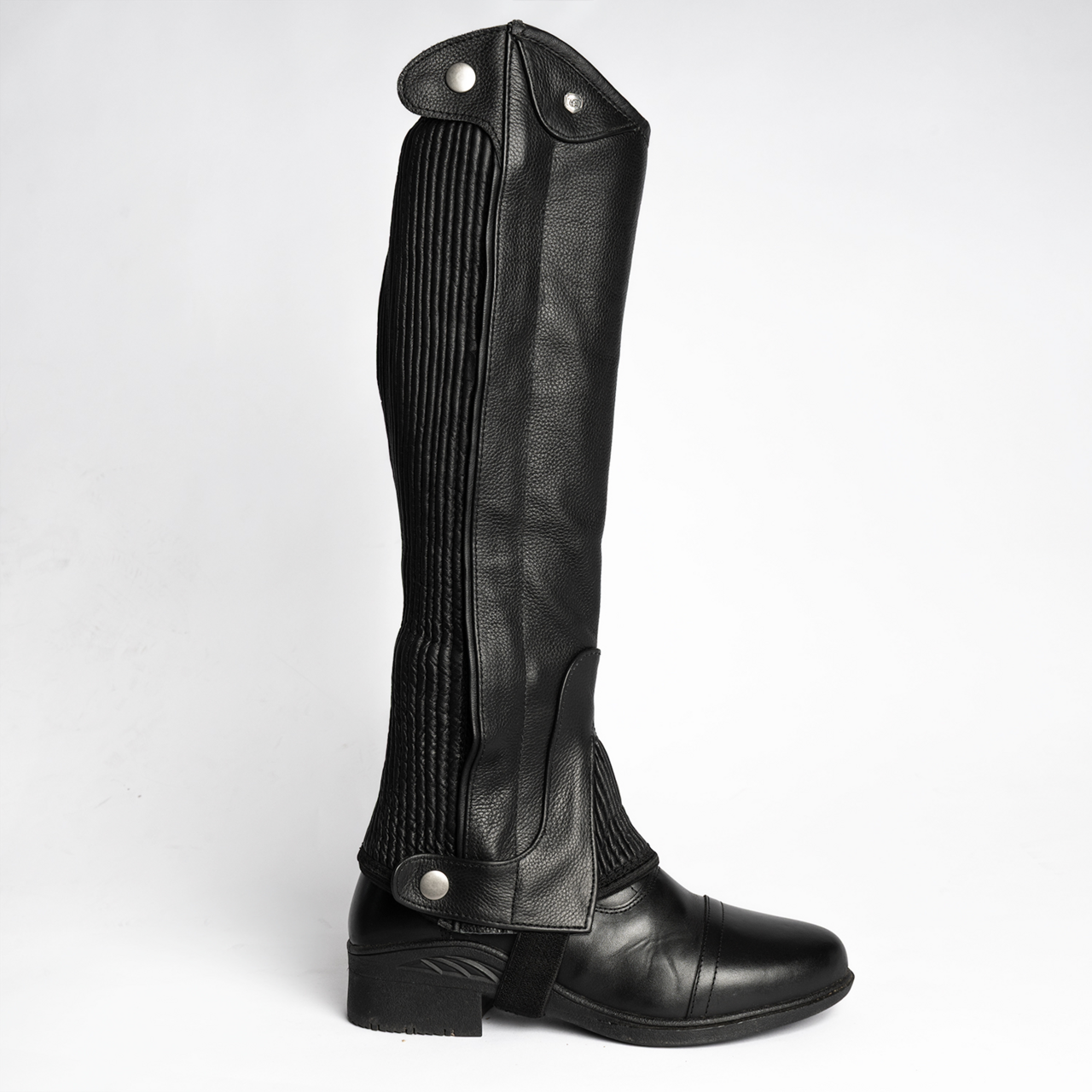 Shortchaps ladies Ollie