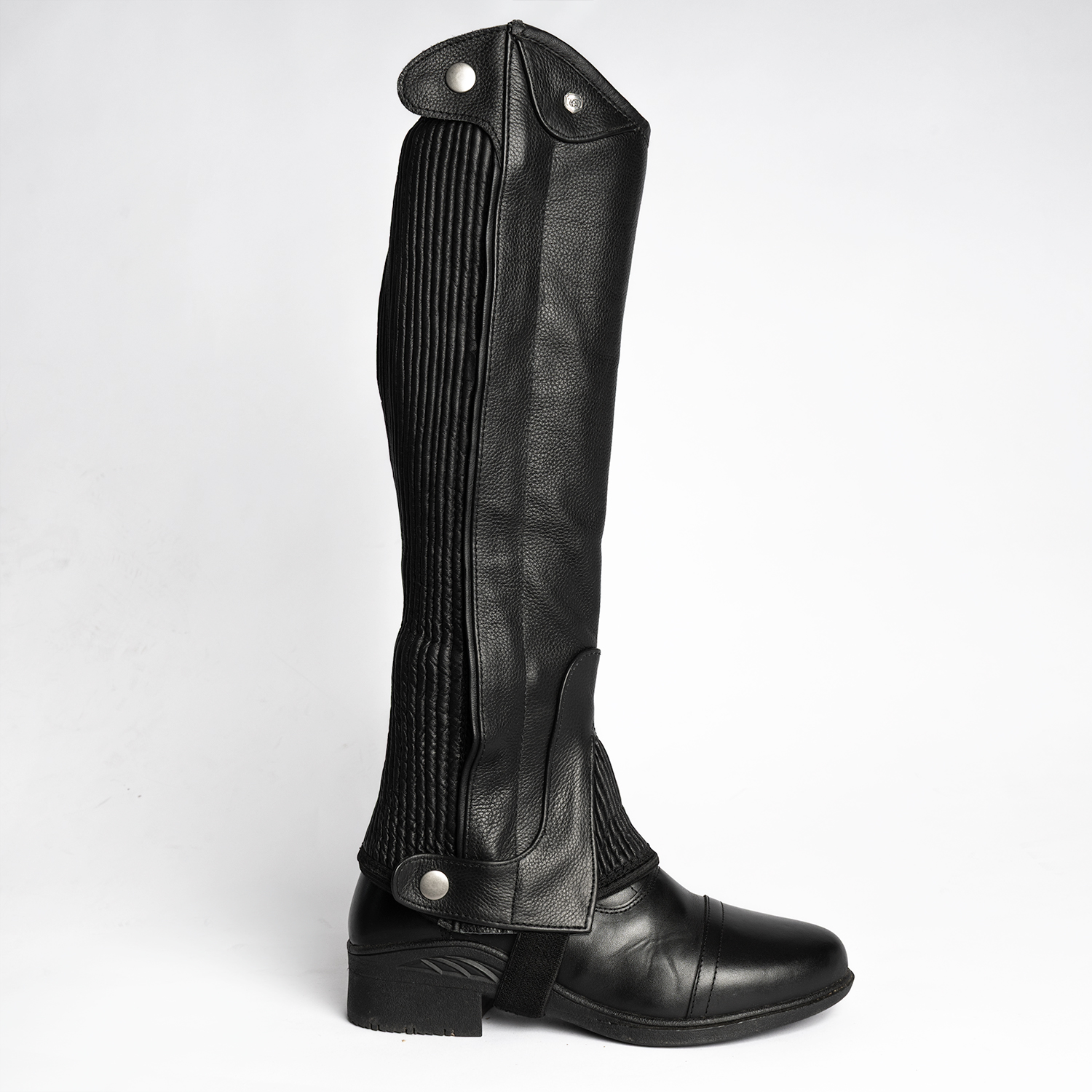 Shortchaps ladies Ollie