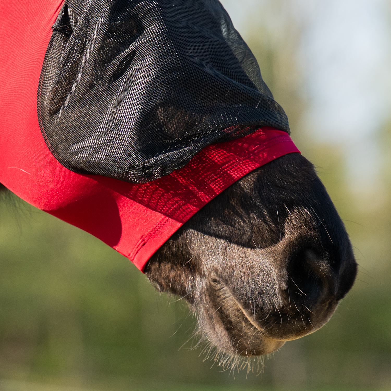 Flugmask La Plata