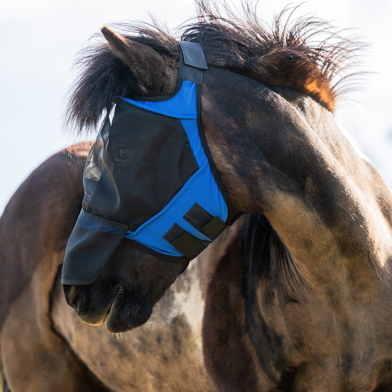 Flugmask Rawson