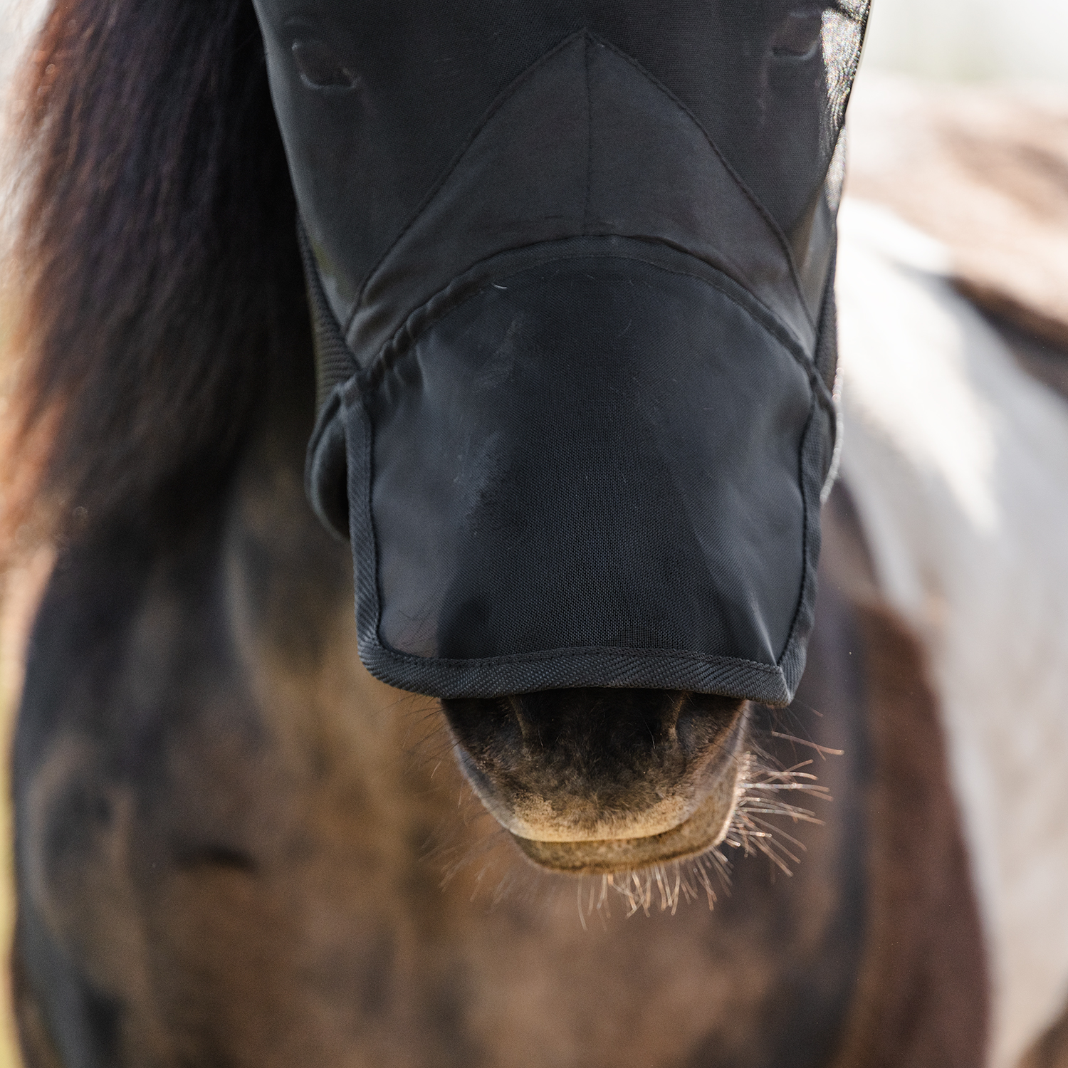Flugmask San Luis