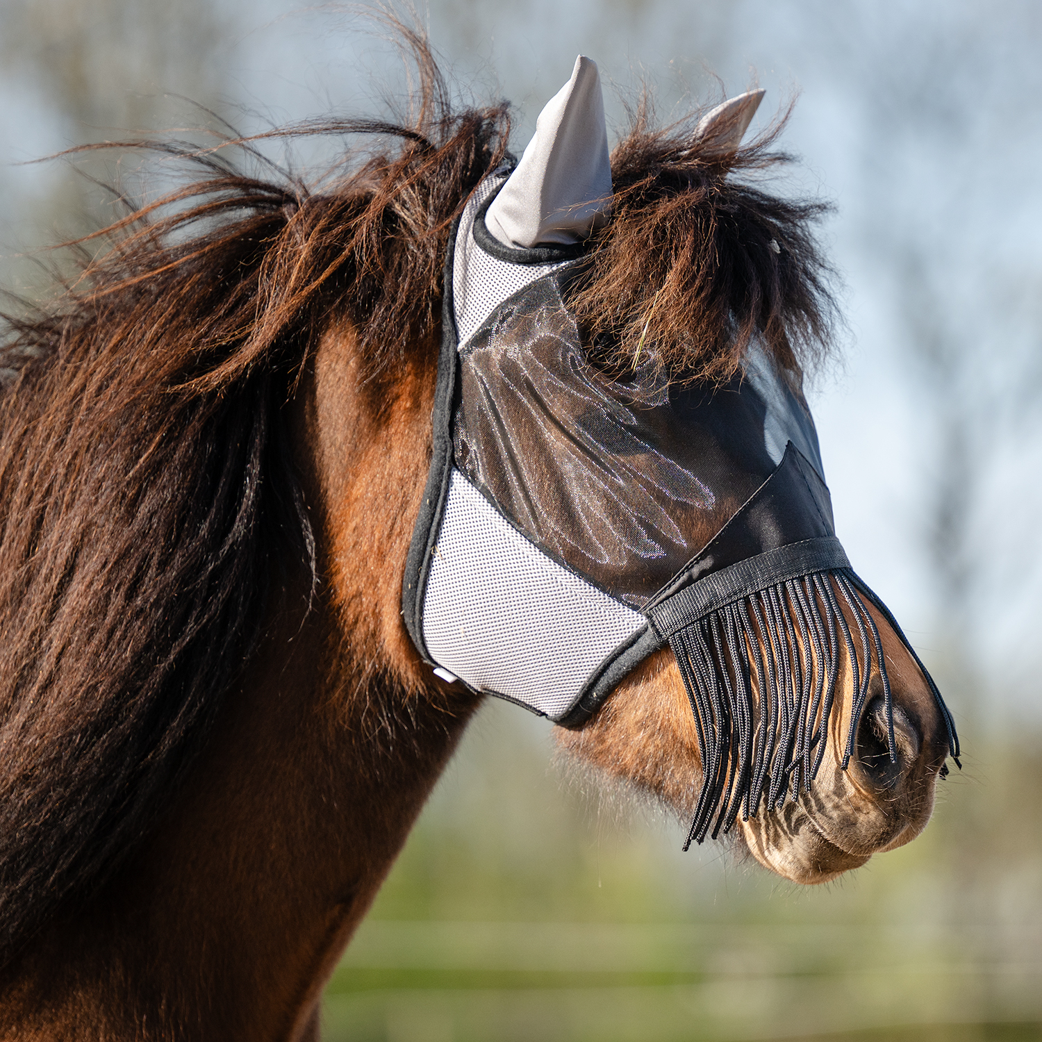 Flugmask Santa Rosa