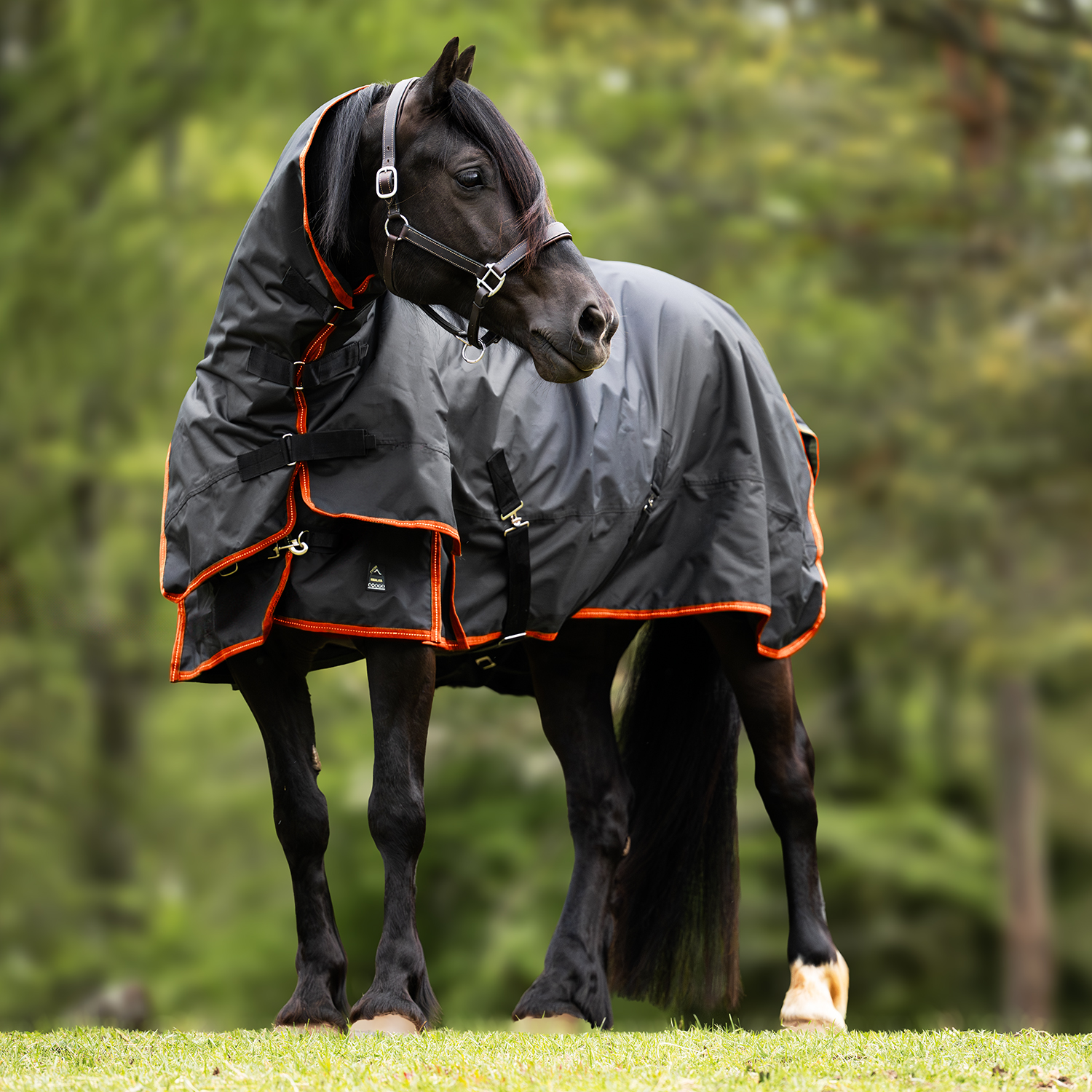 Utetäcke Supreme 250gr