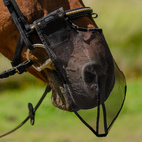 Nos nät Anti Fly Kentucky