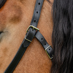 Ardennrgrime svart lær