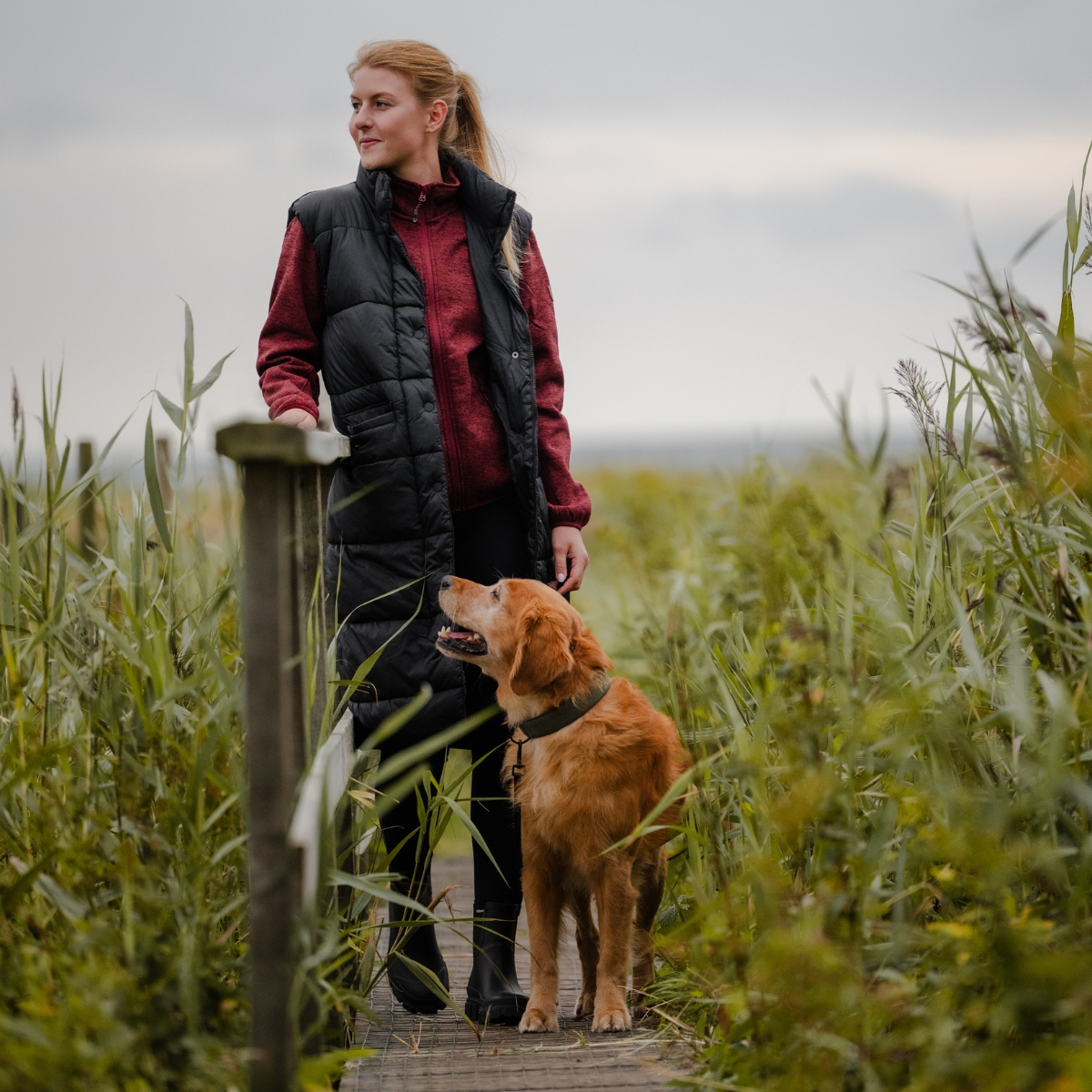 Väst  Amaretto long