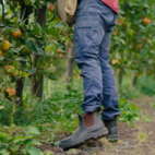 Vernesko Blundstone 200