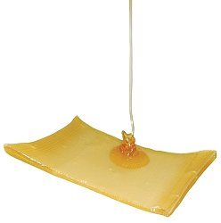 Honungskompress 10cm - Styckvis