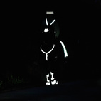 Reflex Ridhuva Flash