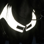 Reflex Ridtäcke Flash