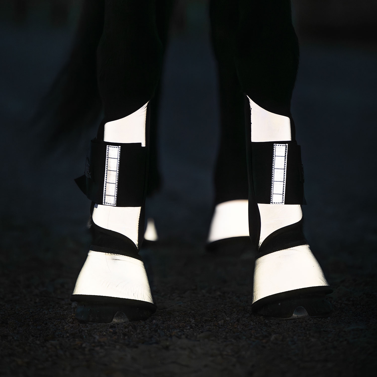 Reflex Boots Flash