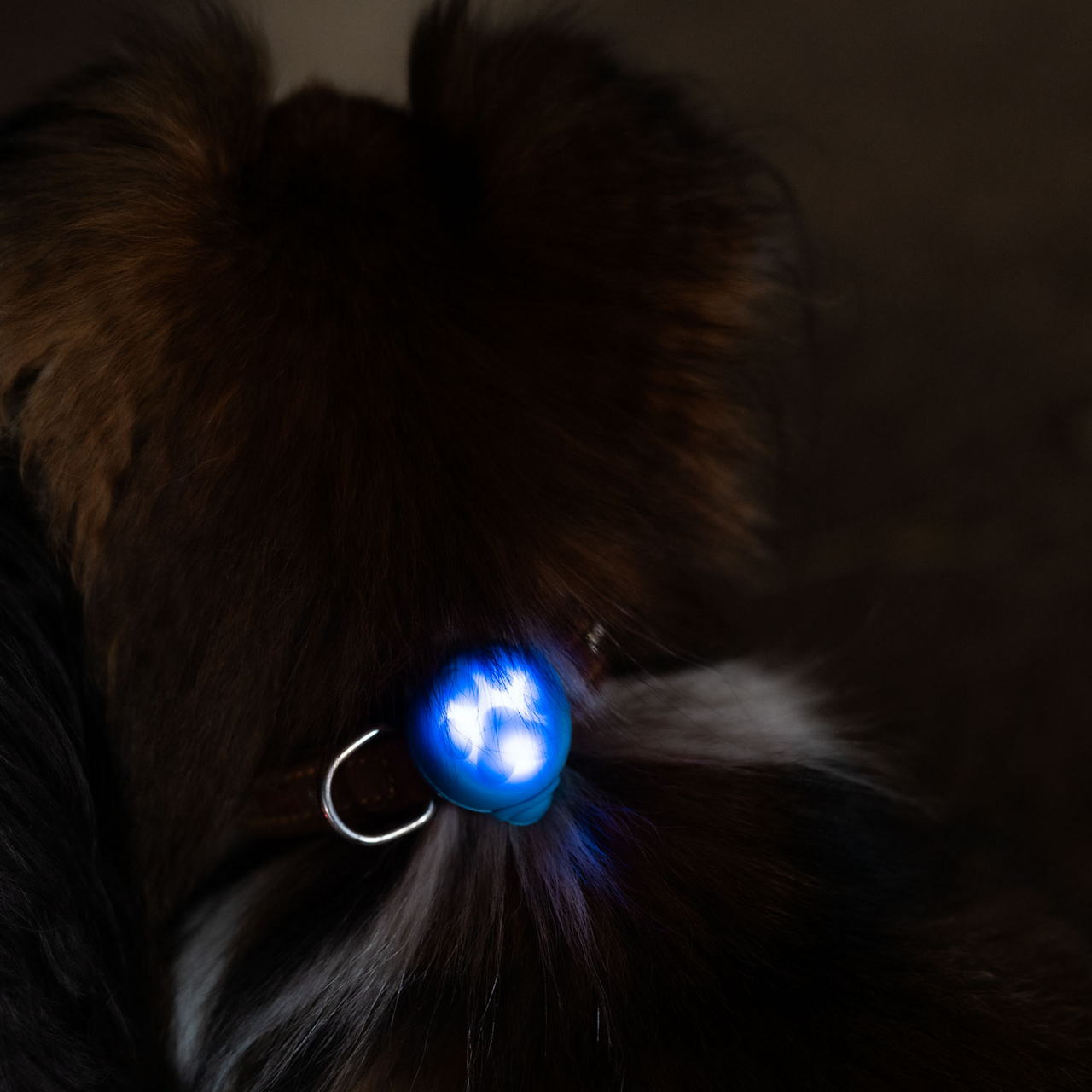 Hänge LED-ljus Notice