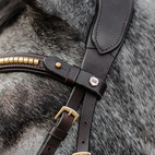 Bettlöst Träns Relief