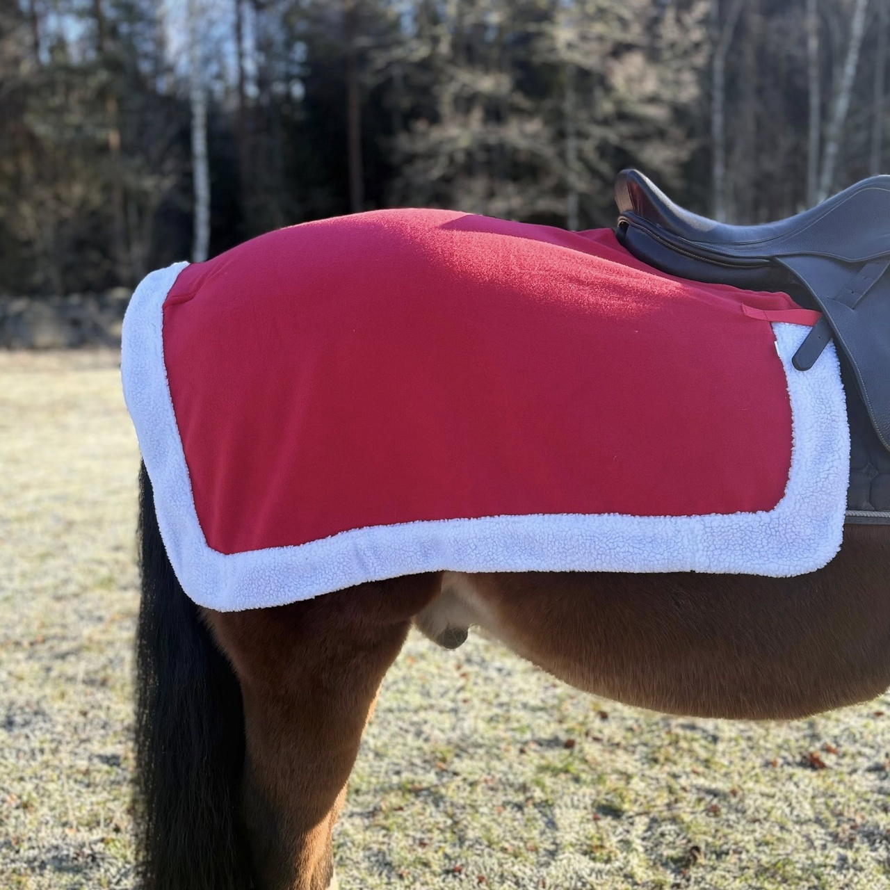 Ländtäcke Xmas