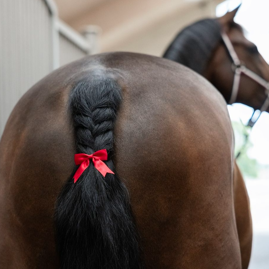 Svansrosett KlDaisey Kingsland Röd