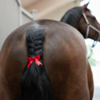 Svansrosett KlDaisey Kingsland Röd