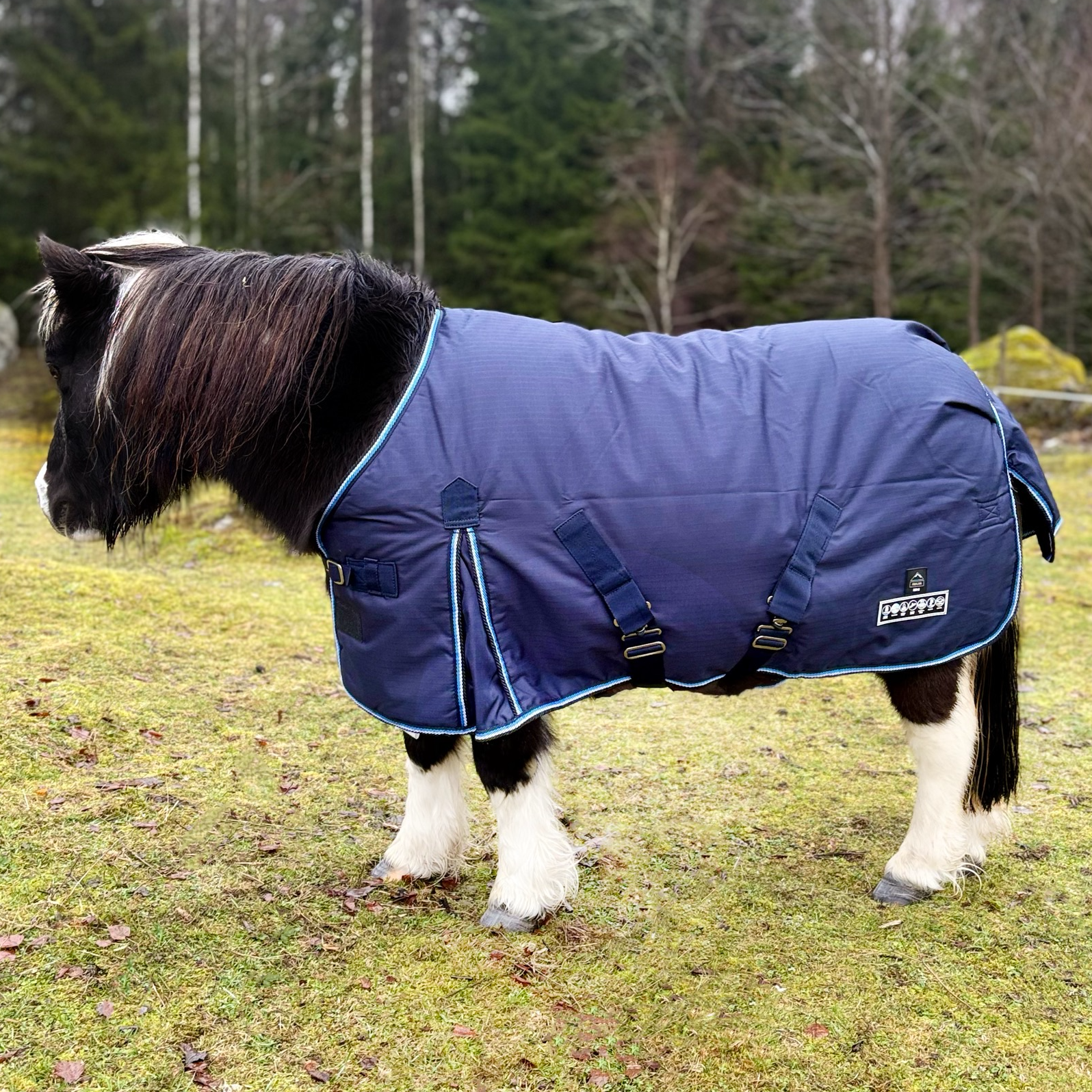 Mini 100 g Utetäcke