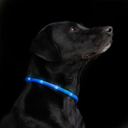 LED-Ring Hund Notice