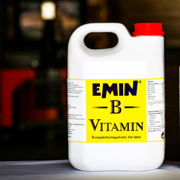 B-vitamin EMIN 2½l