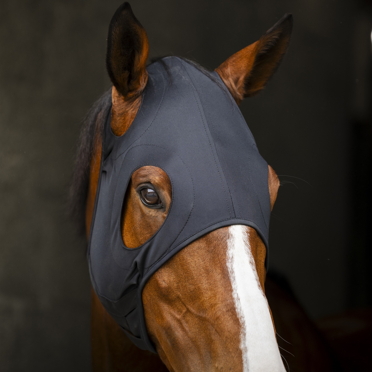 Ionic Calming Face Mask