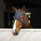 Ionic Calming Face Mask