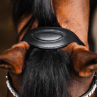 Bettlöst Träns Glam