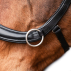 Bettlöst Träns Glam