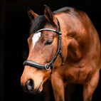 Bettlöst Träns Glam