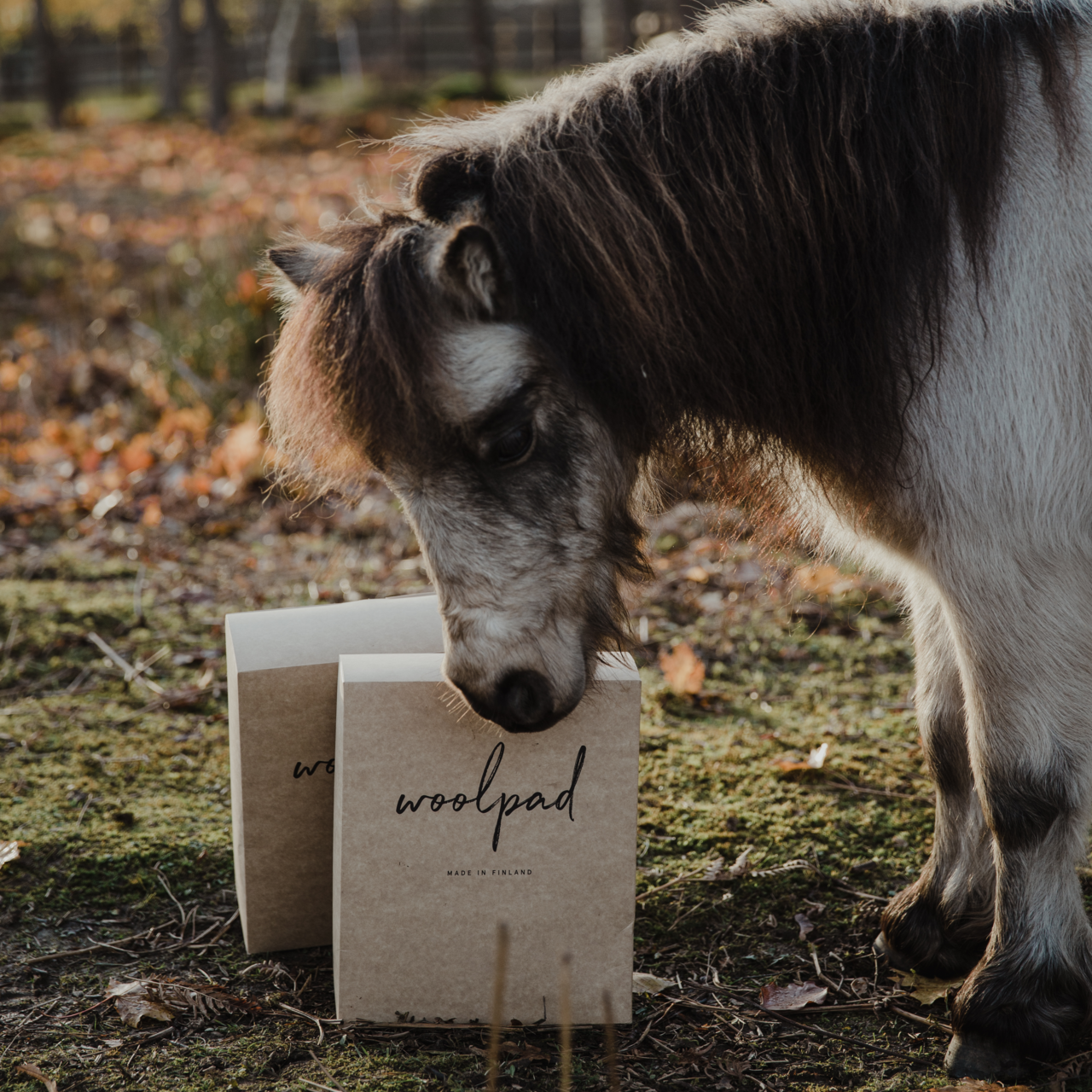 WOOLPAD 2-PAKNING