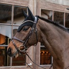 HETTE WELLINGTON LYDISOLERT KENTUCKY Hette Wellington Lydisolert Kentucky Fs Svart