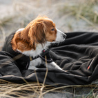 Hundfilt Therapy Infra 120*80cm