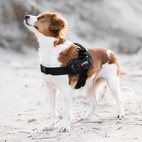 Hundsele Therapy Infra